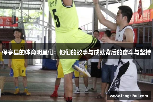 保亭县的体育明星们：他们的故事与成就背后的奋斗与坚持