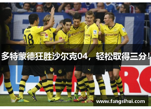 多特蒙德狂胜沙尔克04，轻松取得三分！