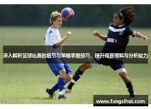 深入解析足球比赛的细节与策略掌握技巧，提升观赛理解与分析能力